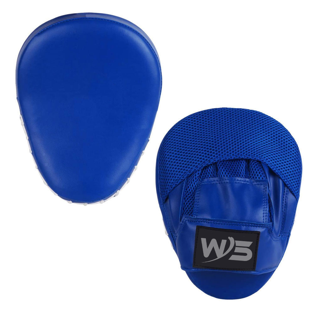 Focus Mitts