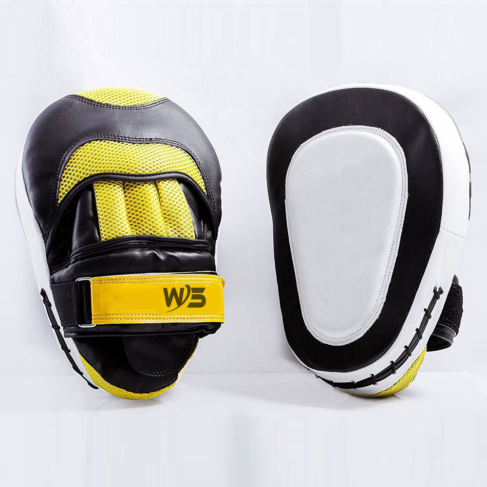 Focus Mitts